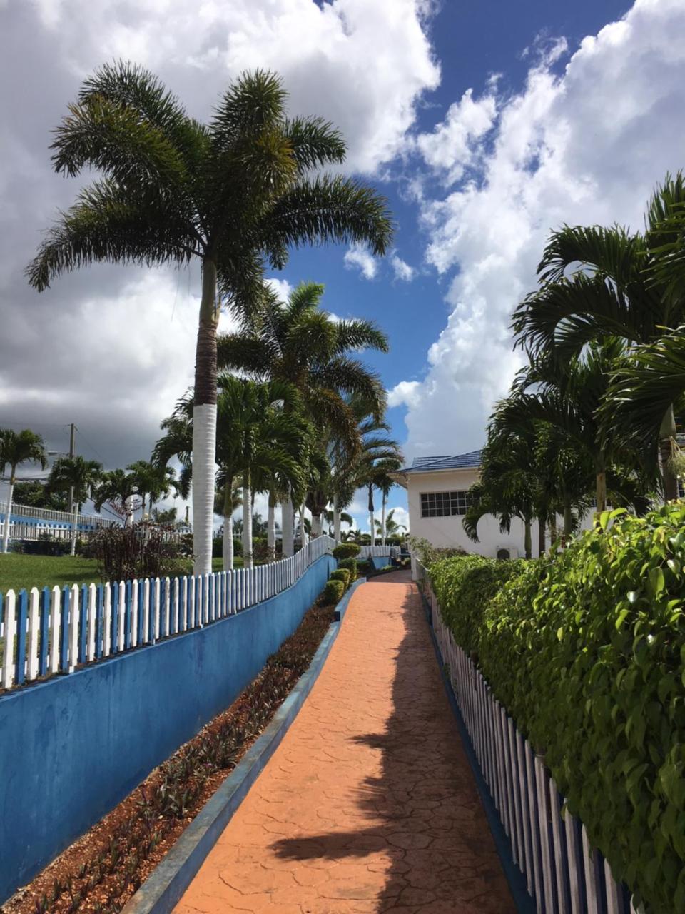 Tropics View Jamaica Hotel Hatfield Bagian luar foto